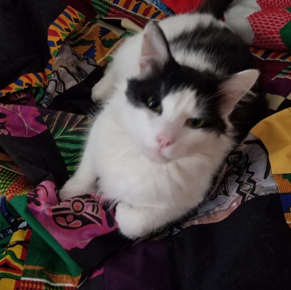 Meet your Posher, Natascha - Picture 3 of 4